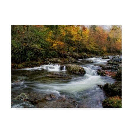 Danny Head 'Autumn Dream Rocks' Canvas Art,14x19